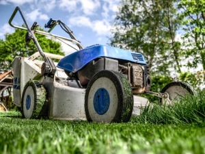 How To Achieve A Good Backyard Rubbish Clean Up