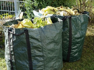 Getting Rid Of Green Waste