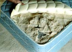 Mattress Removal Guide