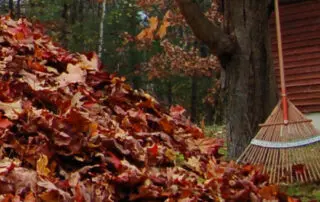 garden waste