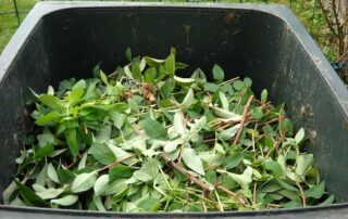 Green Waste Removal