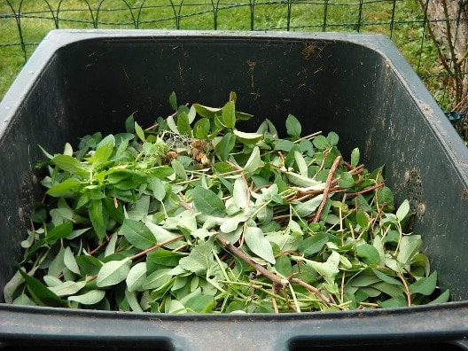 What Is Green Waste?