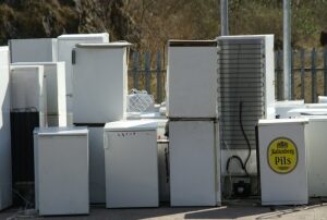 Fridges and Freezers Removal