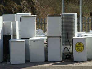 Fridges and Freezers Removal