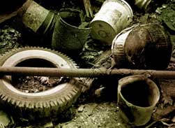 Illegal Dumping