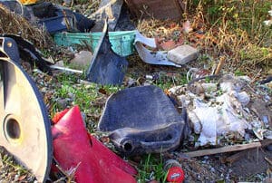 The Best Backyard Clean Up Tips