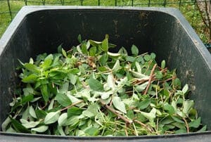 What Can Go In Green Waste Bins?